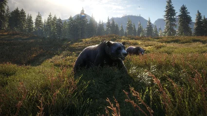 theHunter: Call of the Wild ✔ STEAM Аккаунт ✔ на 90 дней