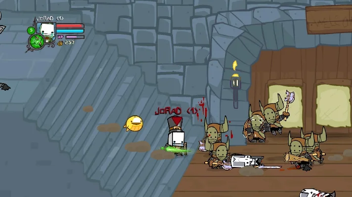 Castle Crashers [STEAM] 🌍GLOBAL