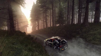DiRT Rally 2.0 GOTY (STEAM) АККАУНТ ✔ на 90 дней