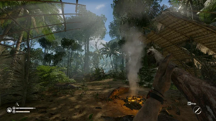 Green Hell [STEAM] Offline 🌍GLOBAL ✔️PAYPAL