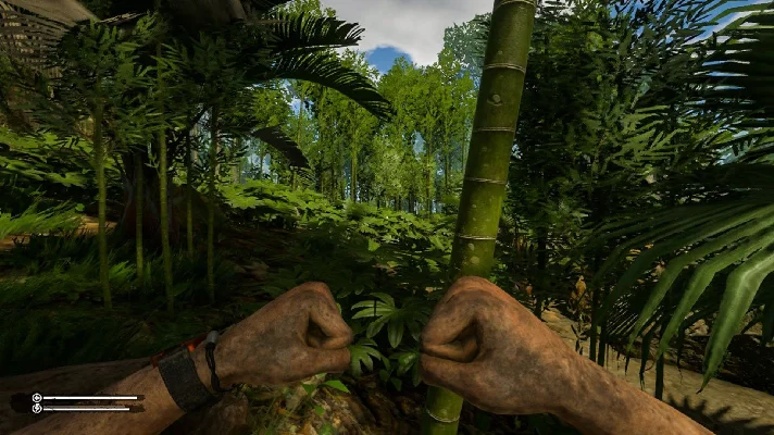 Green Hell [STEAM] Offline 🌍GLOBAL ✔️PAYPAL