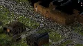 PROJECT ZOMBOID・STEAM・ЛИЦЕНЗИО — фото 4