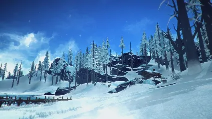 THE LONG DARK・STEAM АККАУНТ + ИГРЫ・