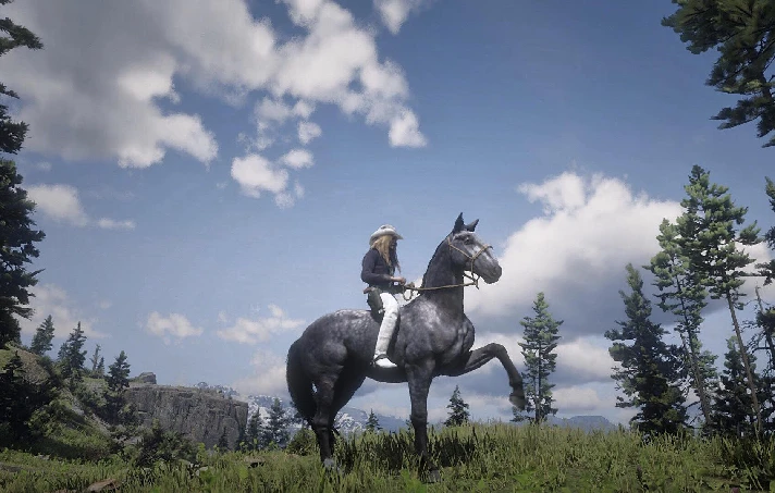 RDR 2 ✅ SOCIAL CLUB/ONLINE/RDR2 ✅ FULL ACCESS + MAIL 🔥