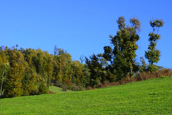 Nature Photography