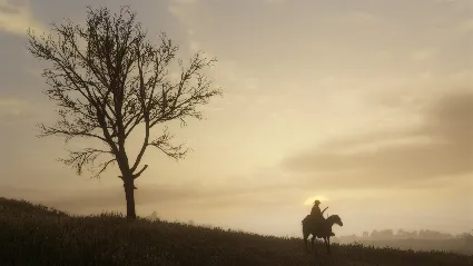 Red Dead Redemption 2 Xbox one