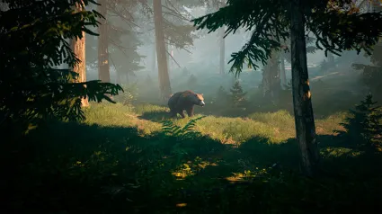 BIGFOOT | Оффлайн активация | Steam | Region Free