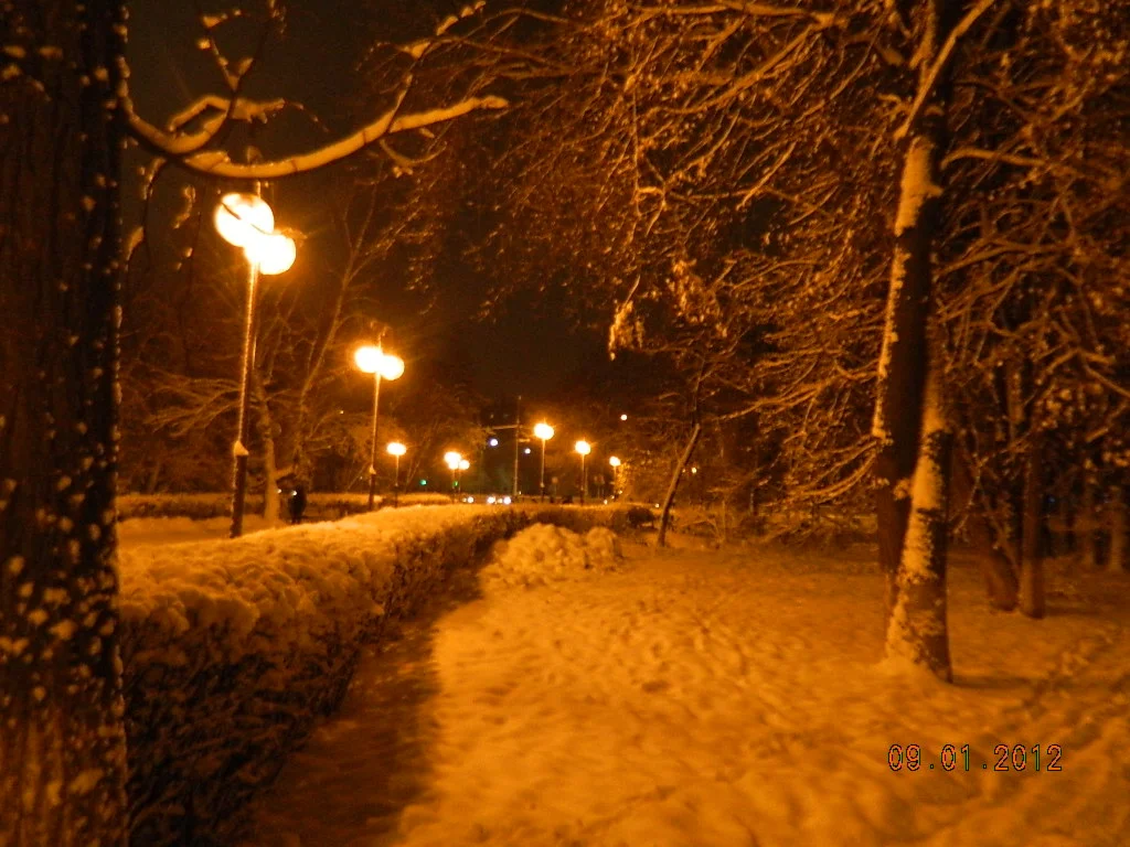 Зимняя дорога