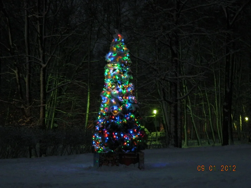 Вечерняя новогодняя елка