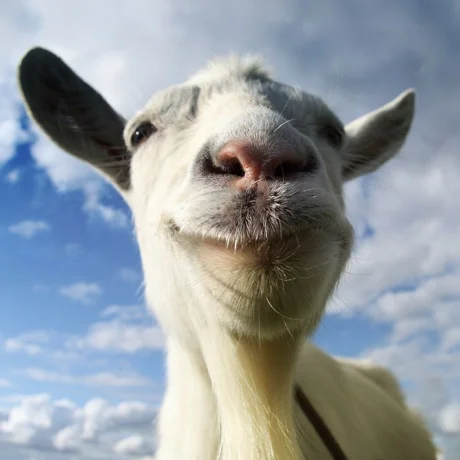 Goat Simulator iPhone ios iPad Appstore КЕШБЕК 30% 