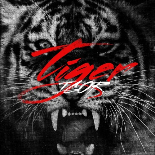 iGOR - Tiger