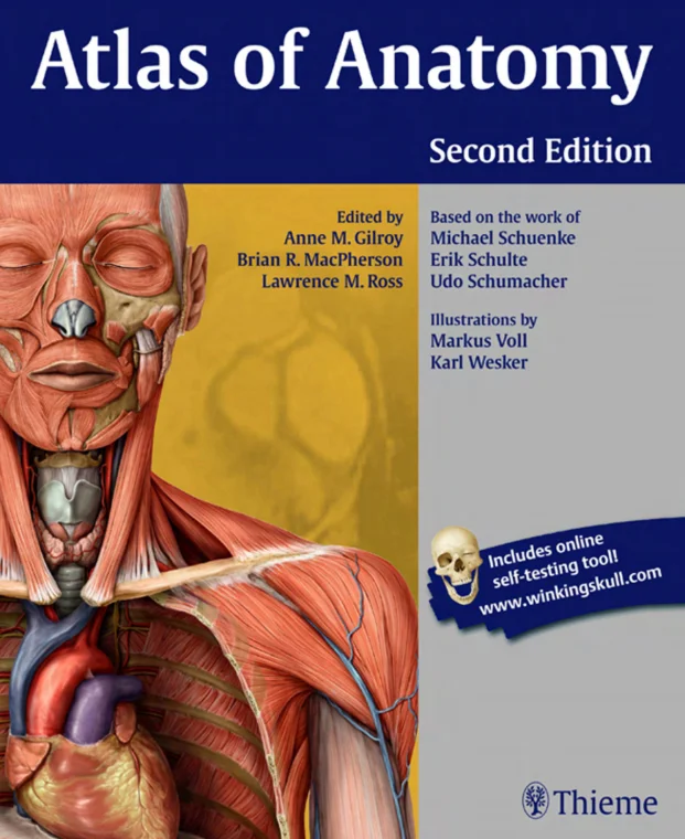 Gilroy A.M. Atlas of Anatomy