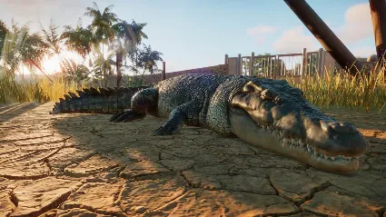 Planet Zoo Deluxe Edition [STEAM аккаунт]