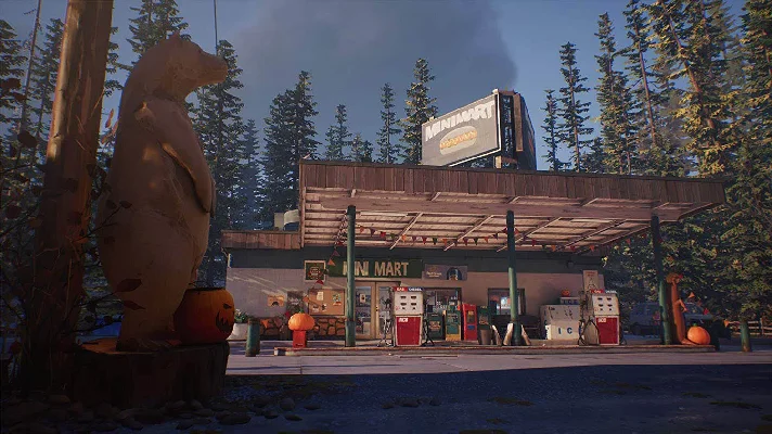 Life is Strange 2 Complete Season STEAM account 🌍GLOBA