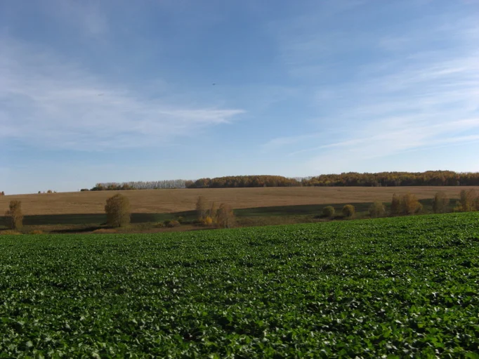 Фото Сибирь