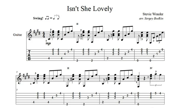 Isn't She Lovely (Stevie Wonder) guitar cover