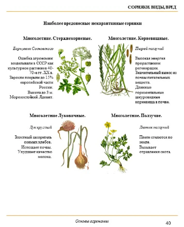 Основы агрономии. Просто. В картинках