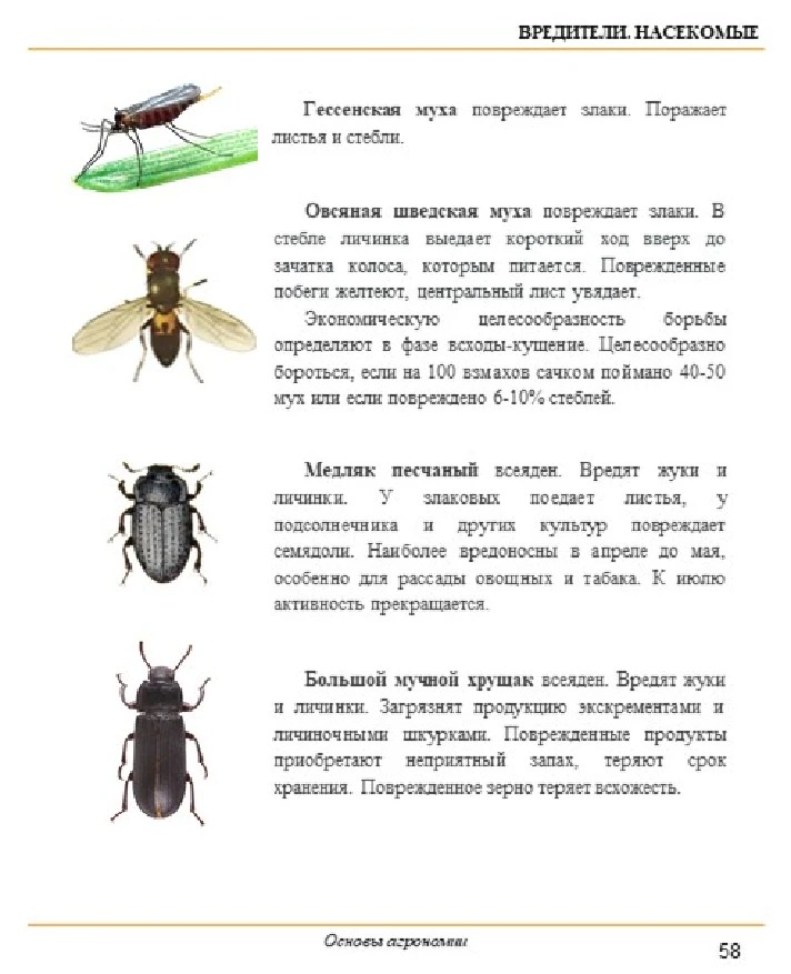 Основы агрономии. Просто. В картинках