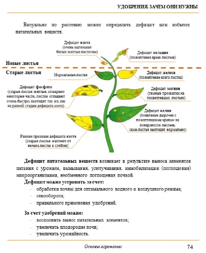 Основы агрономии. Просто. В картинках