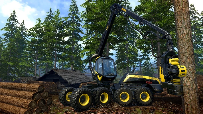 Farming Simulator 15 (steam key)