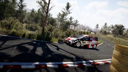 ⭐ ️ WRC 10 FIA World Rally Championship STEAM (GLOBAL)