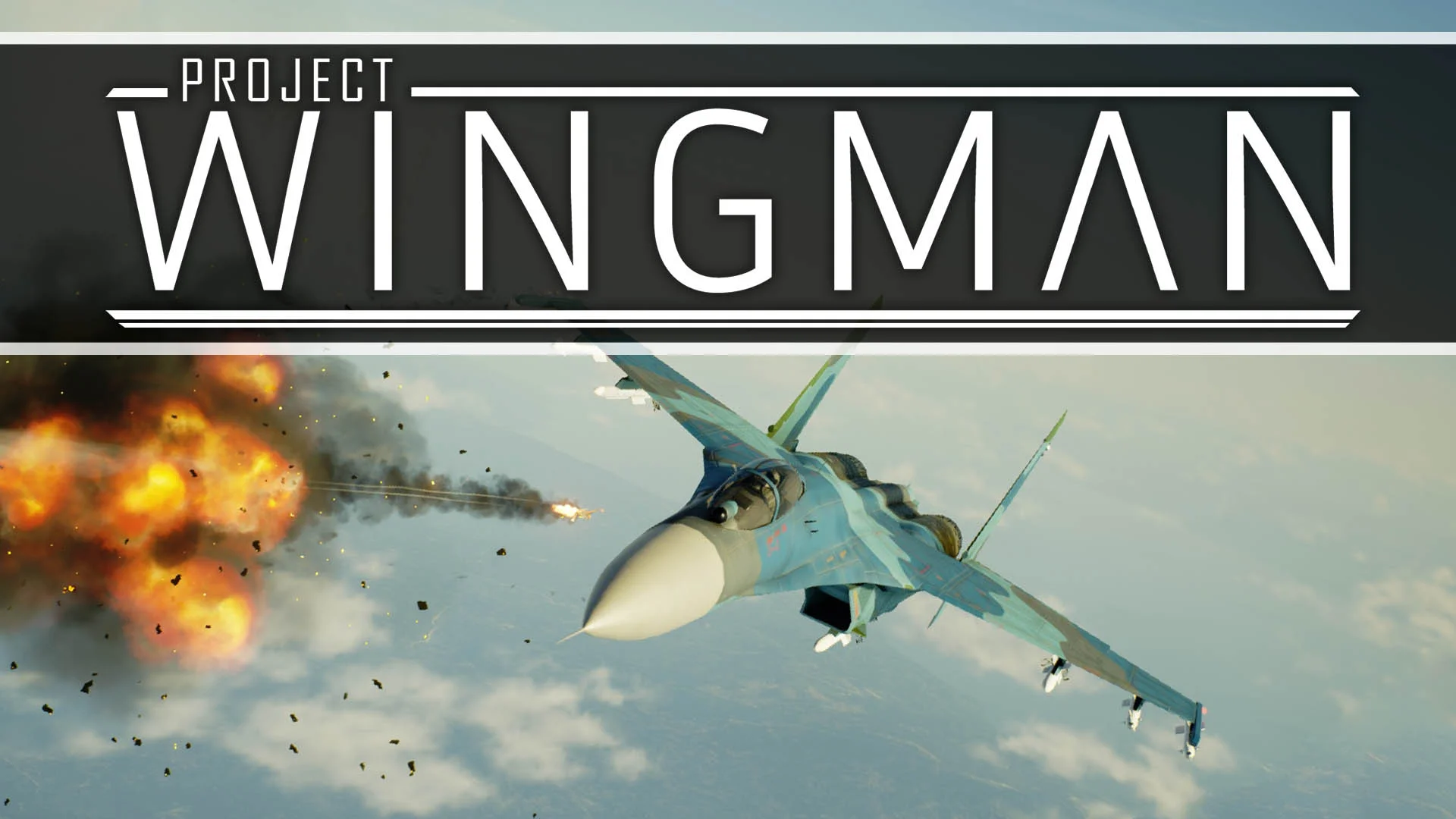 Project Wingman [Steam аккаунт]✔на 90 дней