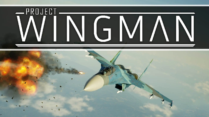 Project Wingman [Steam account] 🌍Region Free ✔PAYPAL