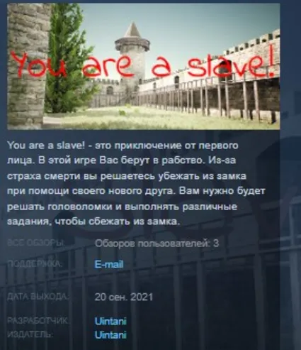 You are a slave! STEAM KEY REGION GLOBAL+РОССИЯ