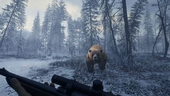 theHunter™: Call of the Wild - Medved-Taiga XBOX Key 🔑