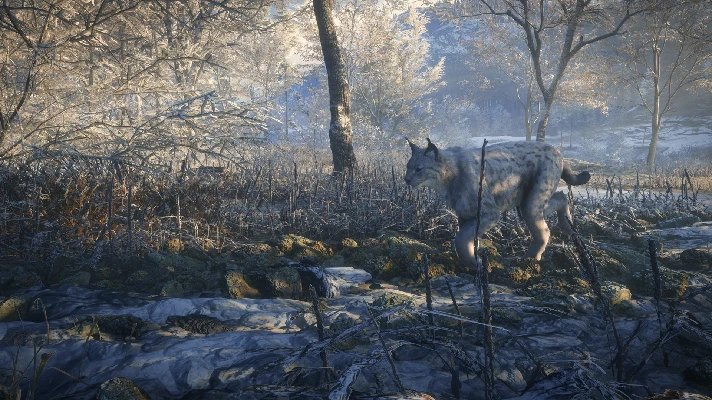 theHunter™: Call of the Wild - Medved-Taiga XBOX Key 🔑