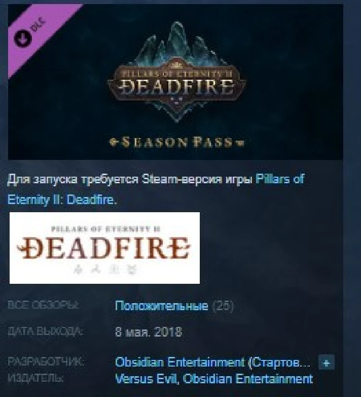 Pillars of Eternity II: Deadfire - Season Pass 💎STEAM