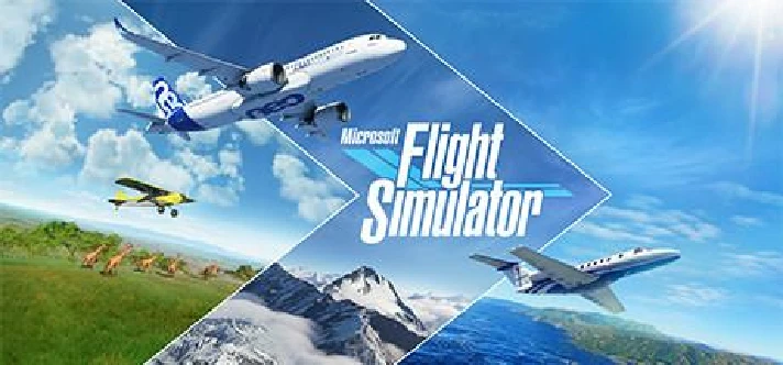 Microsoft Flight Simulator Global Steam accont💳