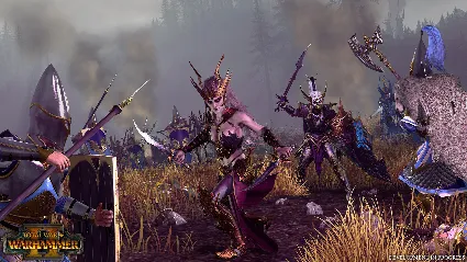 🔥 Total War: WARHAMMER II - ОНЛАЙН STEAM (Region Free)