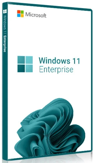 Windows 11 Enterprise 1 PC