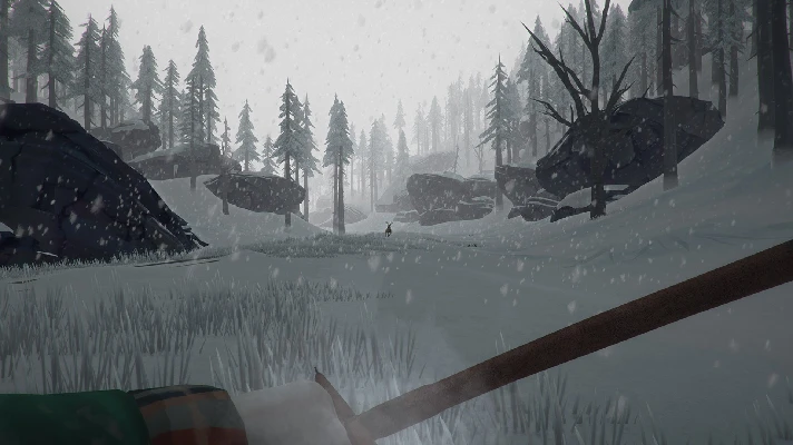 🌍 The Long Dark XBOX KEY 🔑 + 🎁