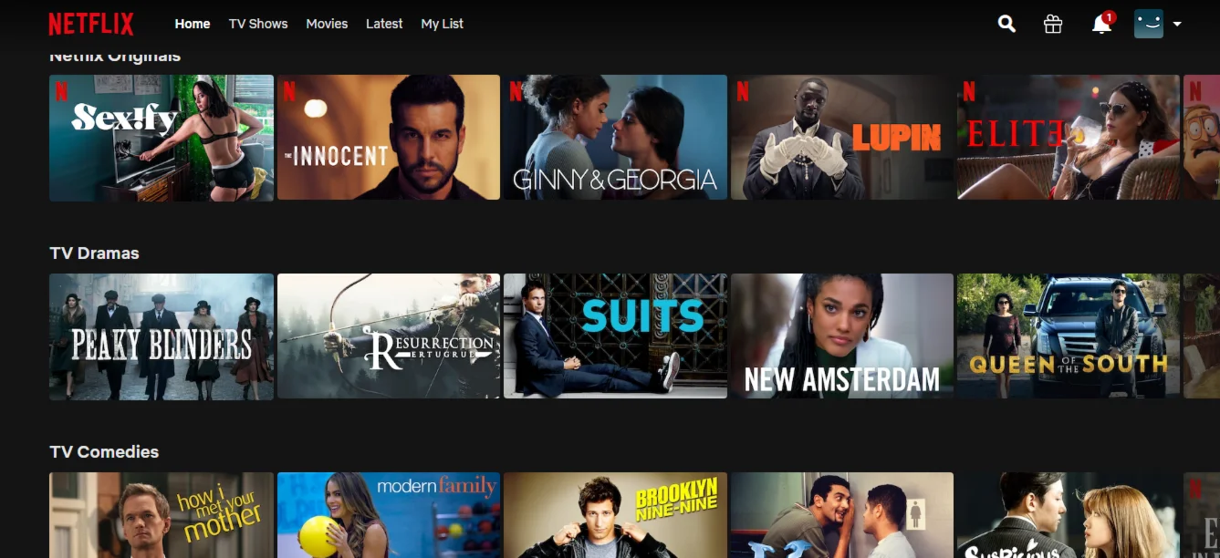 NETFLIX Global Premium 2022⭐️