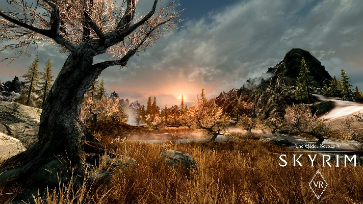 ⭐️ The Elder Scrolls V Skyrim VR - STEAM (GLOBAL)