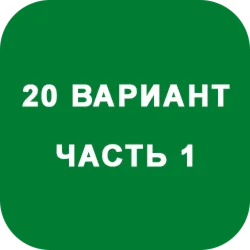 DHS decision Ryabushko AP  Option 20