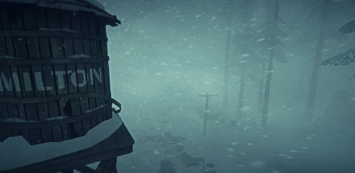 The Long Dark 💎 STEAM GIFT RUSSIA