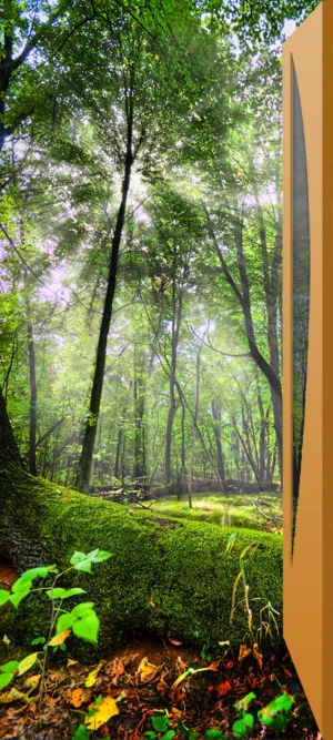 Фото для наклеивания на межкомнатную дверь №6