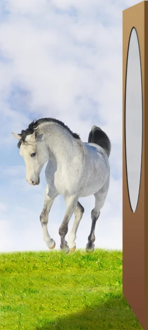 Фото для наклеивания на межкомнатную дверь №17