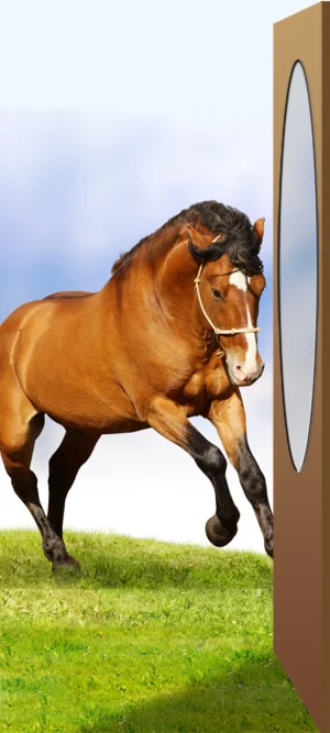 Фото для наклеивания на межкомнатную дверь №18