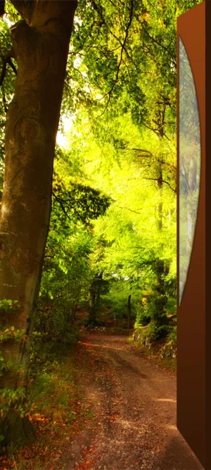 Фото для наклеивания на межкомнатную дверь №21