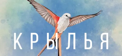 WINGSPAN (КРЫЛЬЯ) 💎 АВТОДОСТАВКА STEAM GIFT РОССИЯ