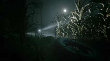 Outlast 2 АВТОДОСТАВКА STEAM РОССИЯ