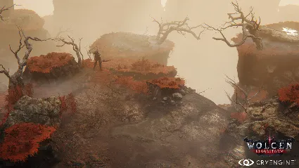 Wolcen: Lords of Mayhem 💎 АВТОДОСТАВКА STEAM РОССИЯ