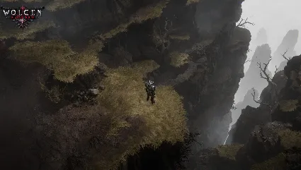 Wolcen: Lords of Mayhem 💎 АВТОДОСТАВКА STEAM РОССИЯ