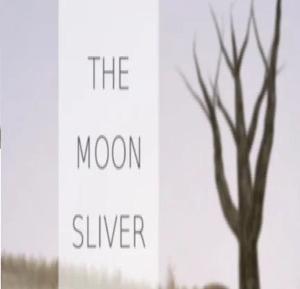 The Moon Sliver (Steam key / Region Free)