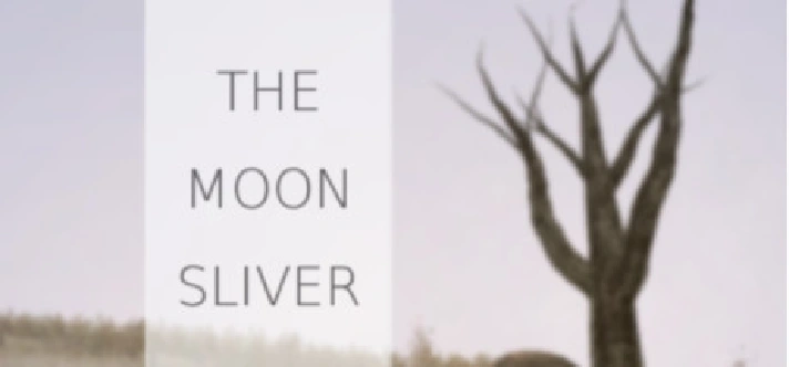 The Moon Sliver STEAM KEY REGION FREE GLOBAL ROW + 🎁