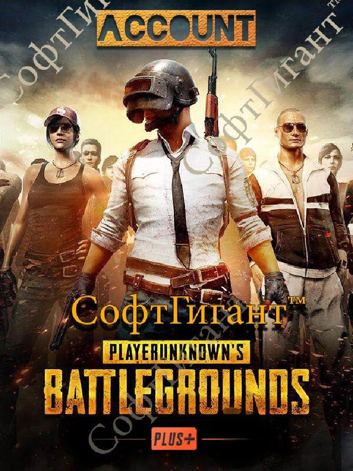 PUBG Battlegrounds (Account) + PLUS  + EMAIL CHANGE